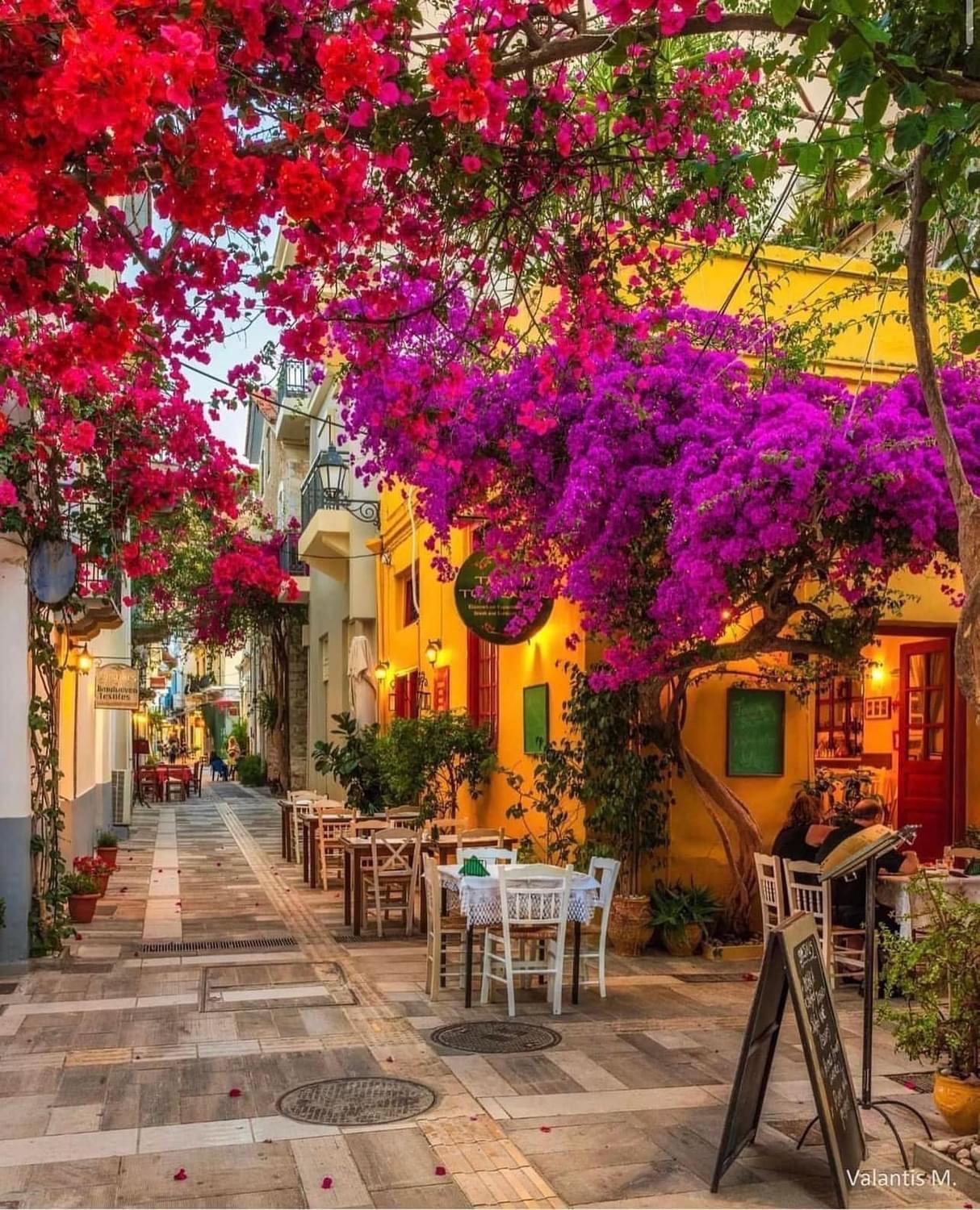 Villa Artemis Nafplion Tolón Exterior foto